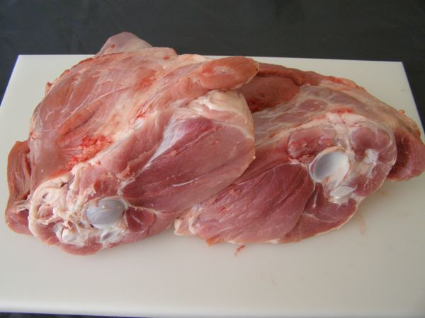 Pá c/ Osso